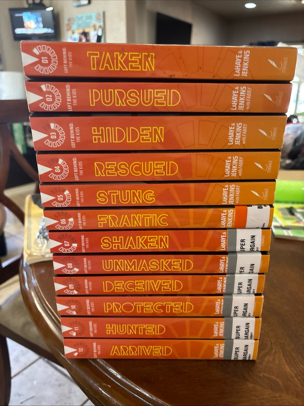 Complete left behind series 12 books Educational Reading Set